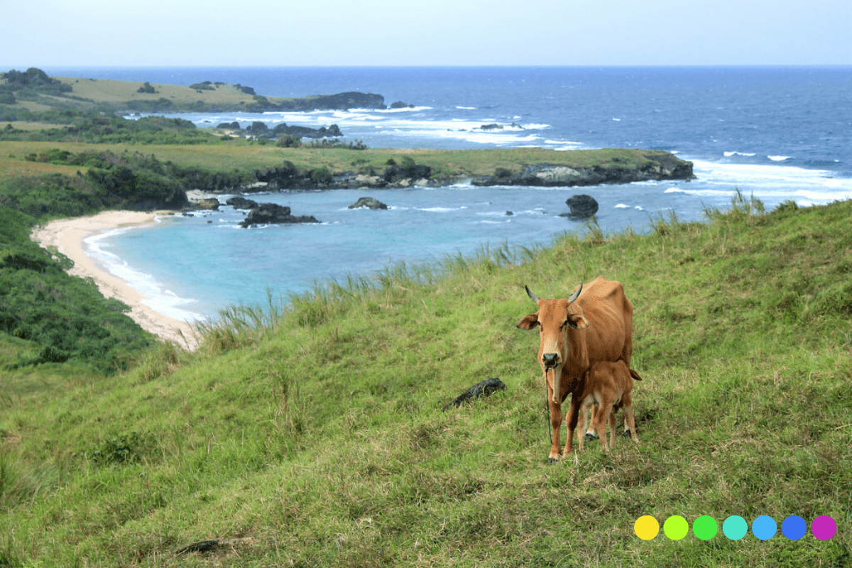 Liwan Cove view from Guinahoan Island - Caramoan Islands Tour Package - Primero Tours and Travel