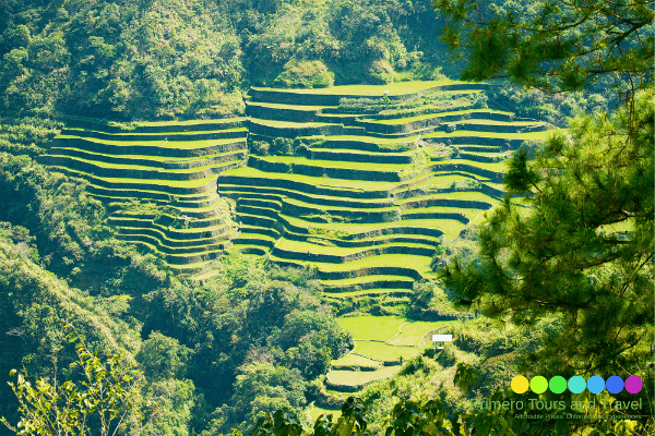 Sagada Tour Package - Primero Tours and Travel -