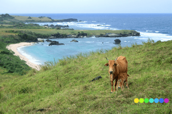 Caramoan Islands Tour Packages - Primero Tours and Travel - Liwan Cove view from Guinahoan Island